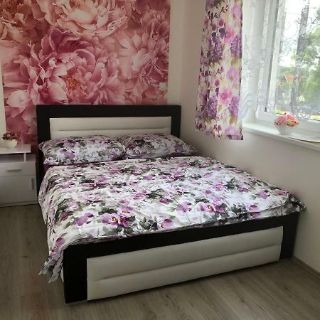 Apartmán na Lukách - Kopretina Trebon Exterior foto